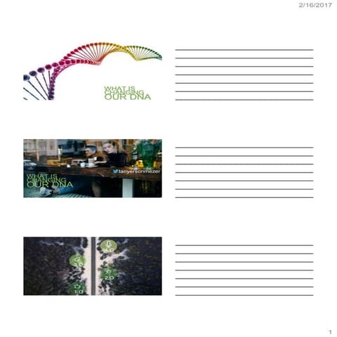 Hr 2017 tanyer sonmezer mct