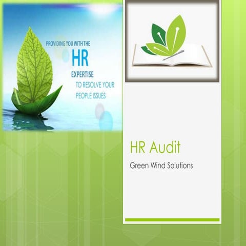 HR Audit from Green Wind Solutions