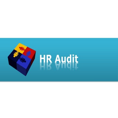 Personnel Audit: Hr audit