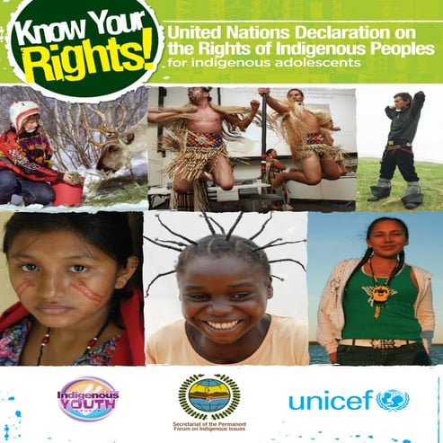 UN declaration on the rights of indigenous peoples, 2007 | PPTX
