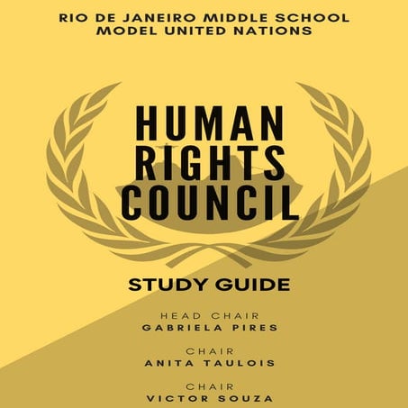 The Human Right to Privacy in the Digital Age | PDF