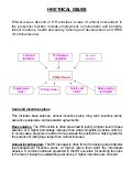 Ethics in human resource management essay