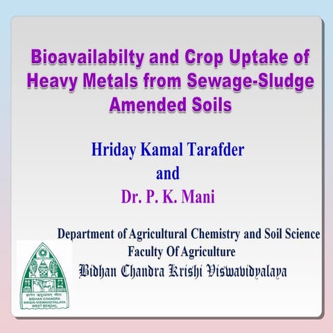 Bioavailabilty and crop uptake of heavy metals from Sewage sludge 