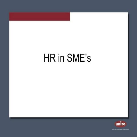 Hr in sme_s