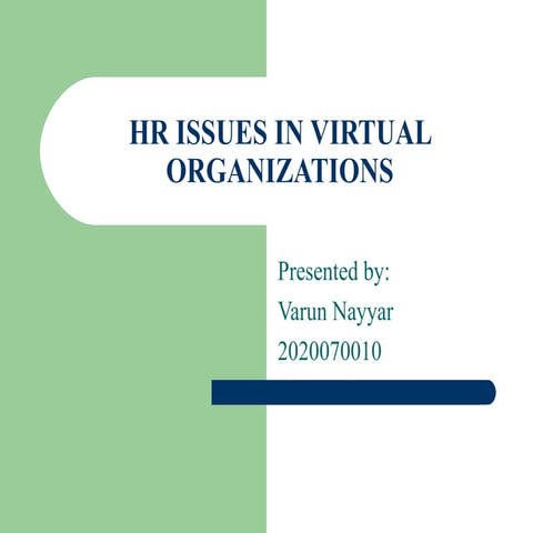 Hr Issues In Virtual Organizations