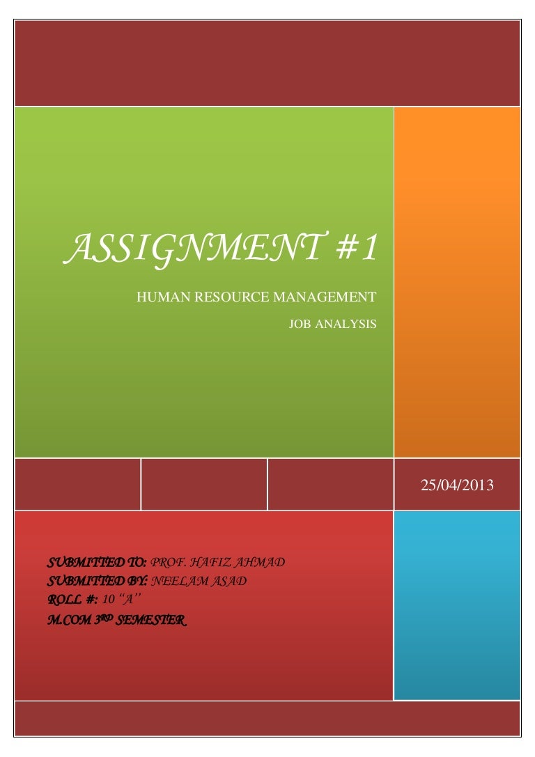 JOB ANALYSIS OF MIS MANAGER