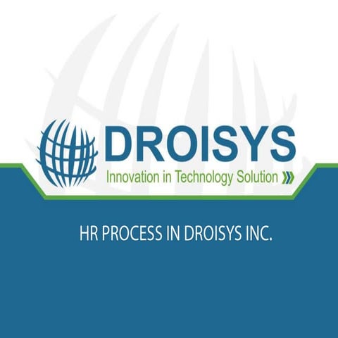 Droisys Hr process 