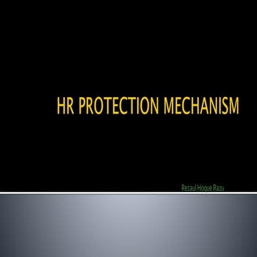 Human Rights protection mechanism