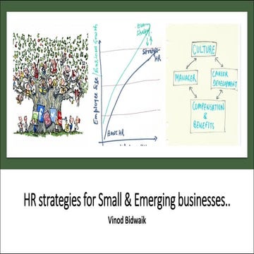 HR Strategies and framework for Emerging, New and Small Businesses