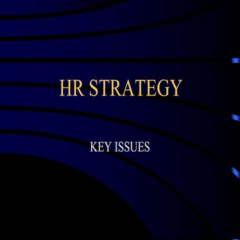 Hr strategy key issues