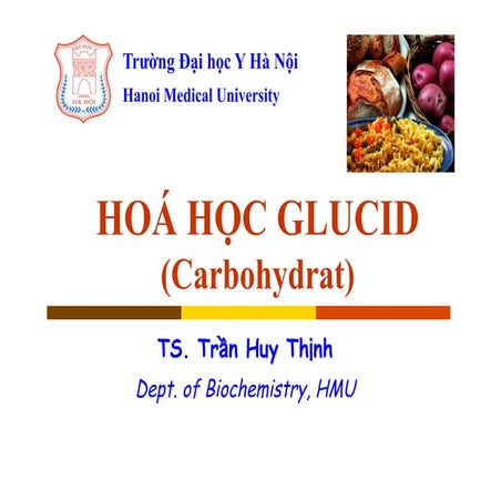 Hs glucid-y2-ts thinh