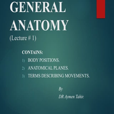 Basic Anatomy.pdf...Basic anatomy review on anatomical positions and ...
