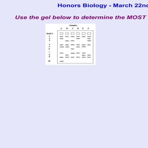 HSA biology key genetic engineering