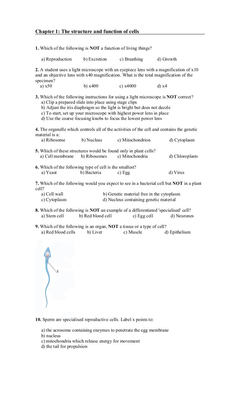 Hsb Multiplechoice Questions Csec 2016