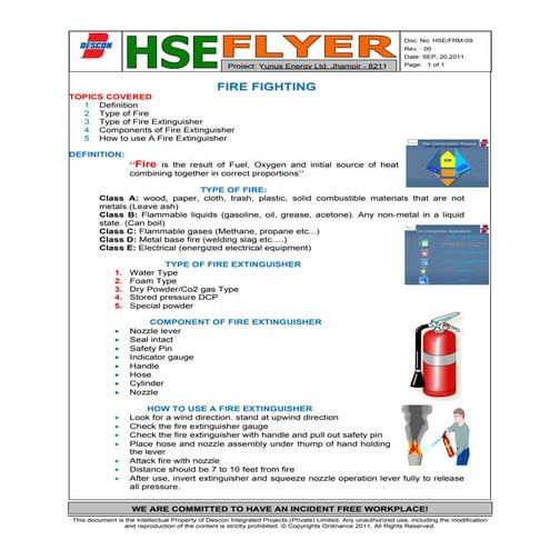 Hse frm 09 hse flyer