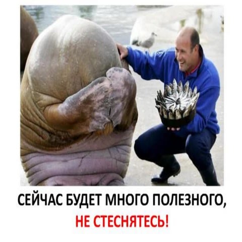 ЛЕТНЯЯ ШКОЛА  «Мастерская бизнеса», Нижний Новгород 