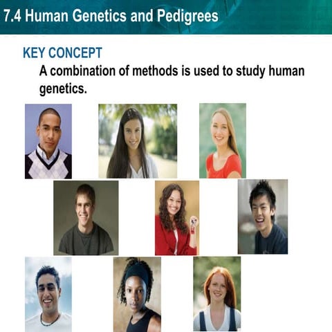 hssb0704t_powerpresDNA as the transforming principle..ppt