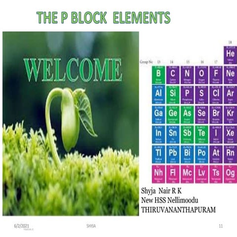 P-Block-Elements-Class-12-Notes-for-JEE-and-NEET.pdf/by sandeep swamy | PDF