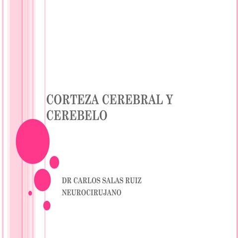 Ht10 corteza cerebral y cerebelosa-dr.salas