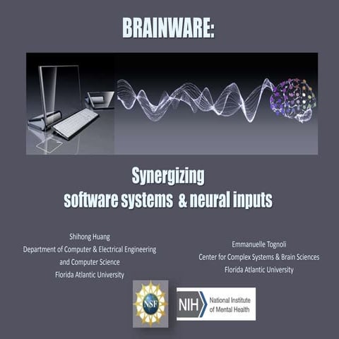 Huang & Tognoli: brainware Cise2014