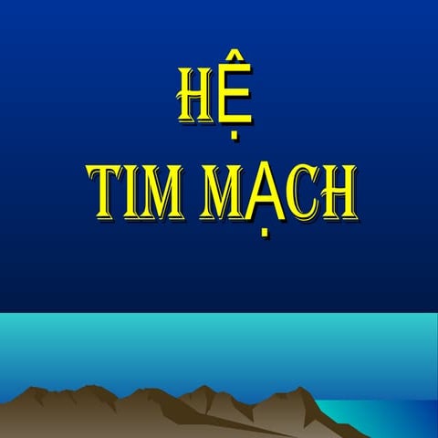 Hệ tim mạch | PPT