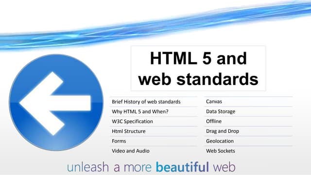 Html 5 Revolution