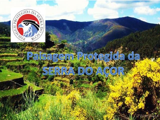 Serra do Açor
