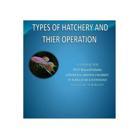 https:pdfmerge.w69b.com:download:AMIfv95VV5zmLqTBhPFx6JJCeuP0O4E17cuqpi481Szz1BuyCOdMhkpKrYNVtK6GtyA8rhw-wXDI_ppGFV7AmtwFWmO1N6kbIMqjMMp7Sc-JE_UZxLdup6eF6KRrD4FYX8bP4Tr3tgltAw02mnNUgBoQt_zgHT1flpsuJBV3NdRVFcUZfVNAME4:merged.pdf