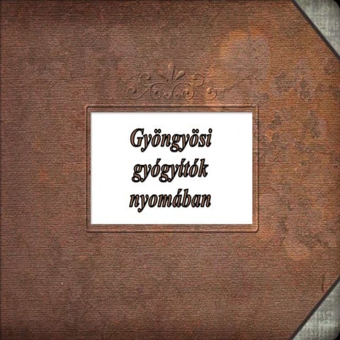 Htv2013 egressy beni