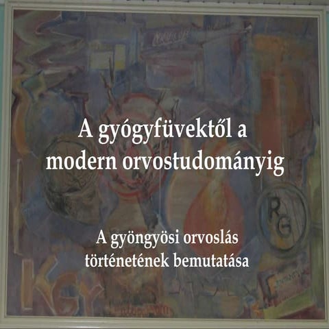 Htv2013 ii. rakoczi ferenc