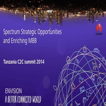 Huawei Workshop LTE Spectrum Strategic Opportunities