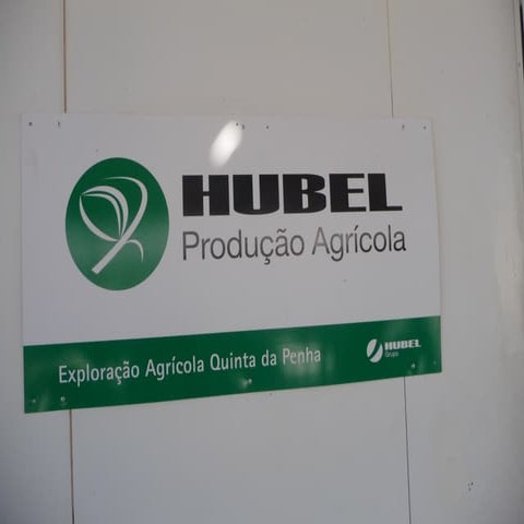 Hubel dia 4.06.2012