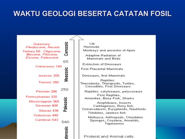 MAKALAH PEMBELAHAN SEL DAN PEWARISAN SIFAT | DOCX