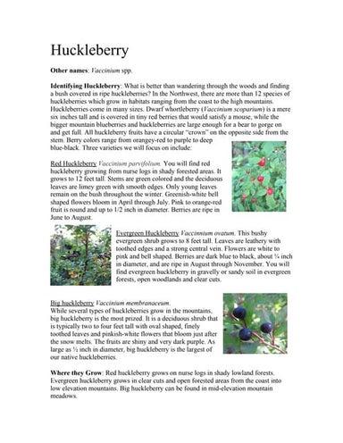 Tend, Gather and Grow Curriculum: Berries