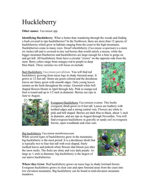 Tend, Gather and Grow Curriculum: Berries