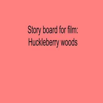 Huckleberry woods storyboard
