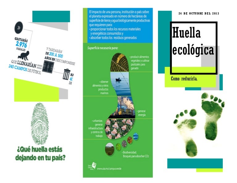 La Importancia De La Huella Ecologica