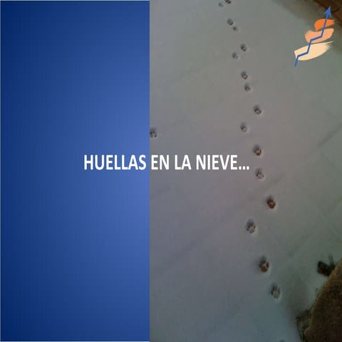 Huellas en la nieve