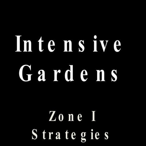 Huertas  Intensivas  Estrategias En  Zona 1  Ecoescuela  El  Manzano Www Ecoe...