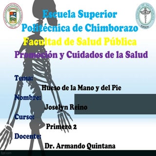 HUESOS DE LA MANO Y DEL PIE 