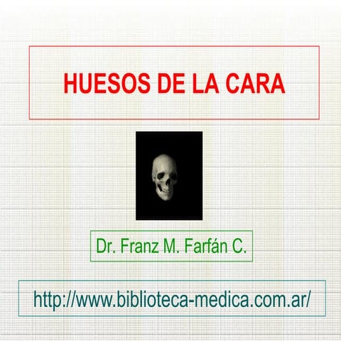 Huesos de la cara
