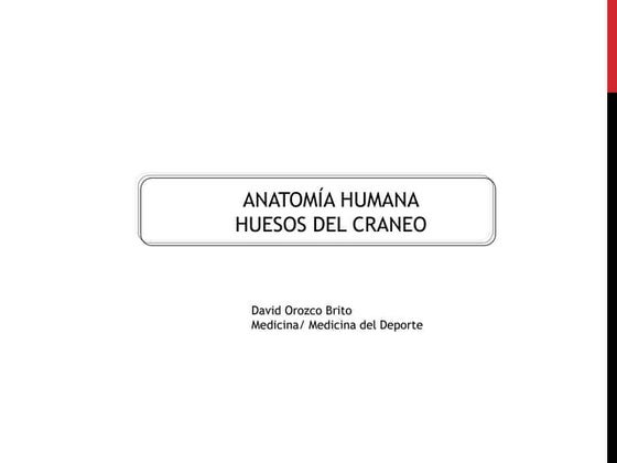 Huesos del cráneo.pdf
