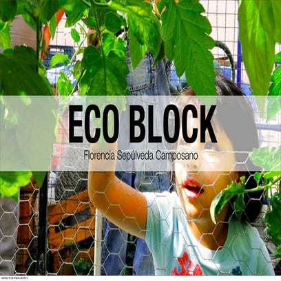 EcoBlock | PDF