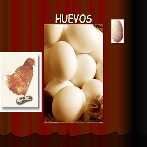 Huevos
