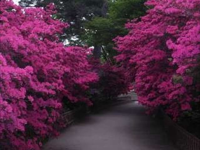 Hugs To All Slideshare Members