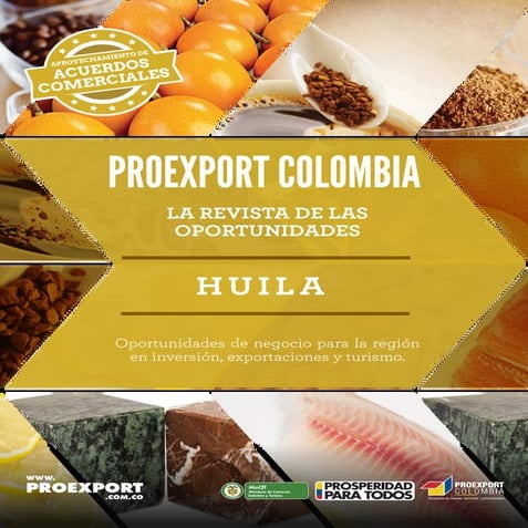  Revista de oportunidades Huila 2014
