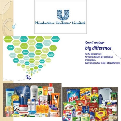 HINDUSTAN UNILEVER LTD. 2013