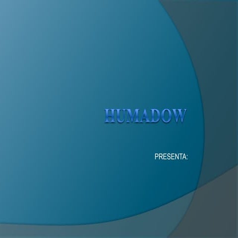 Humadow presentation