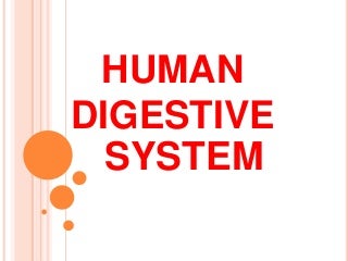 'human digestive system' on SlideShare