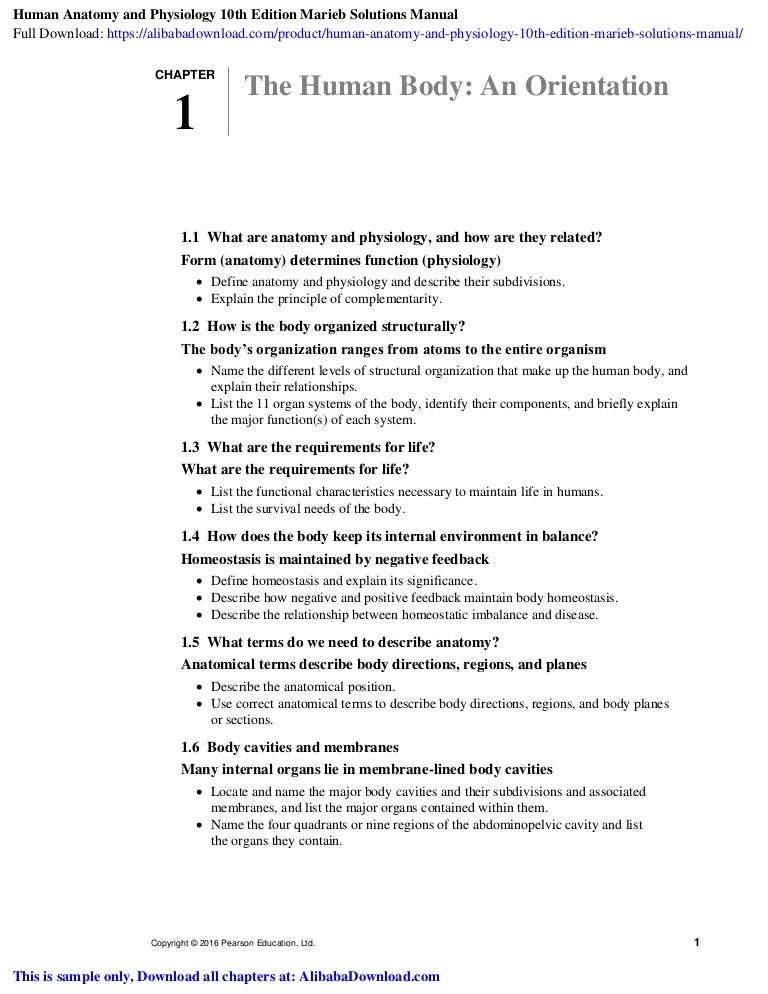 Human Anatomy and Physiology 10th Edition Marieb Solutions Manual